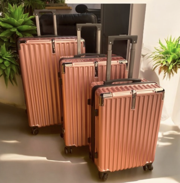 Set de Maletas WB72